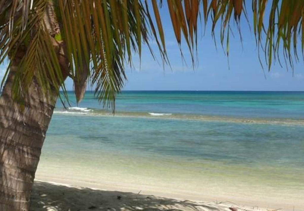 Ababor Suites Guesthouse Vieques Exteriér fotografie