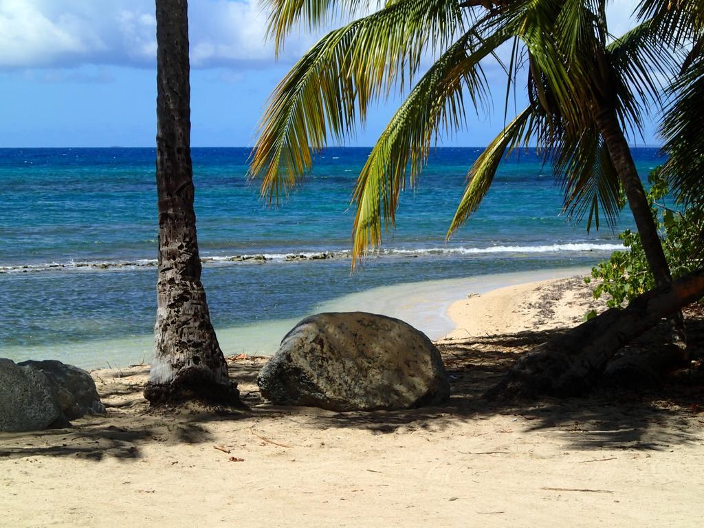 Ababor Suites Guesthouse Vieques Exteriér fotografie